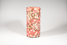Product image for:Dose Cherry Blossom aprikose (15.5cm hoch)