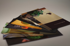 Brochures and cards
